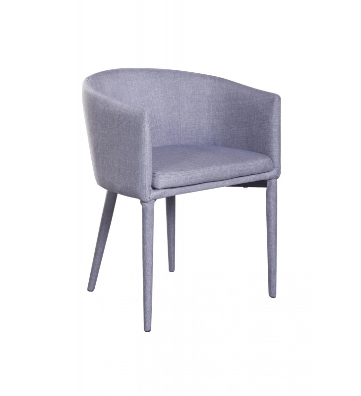 Modrest Saul Grey Dining Chair (Set of 2)