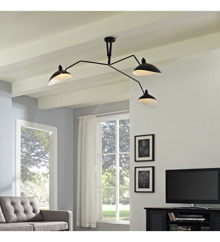 View Ceiling Fixture in Black - Lexmod