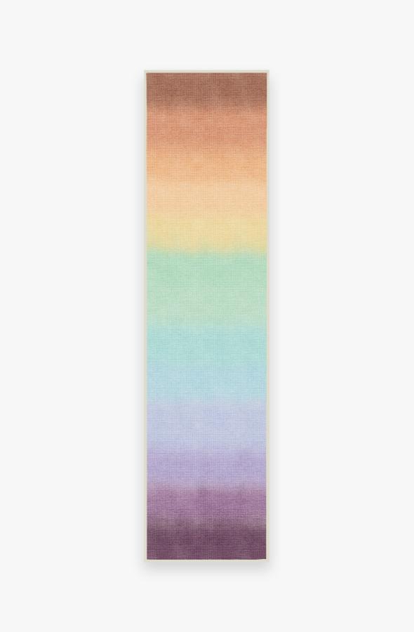 Spectrum Rainbow Rug 2.5'x10' | Stain-Resistant