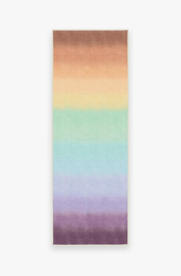 Spectrum Rainbow Rug 2.5'x7' | Stain-Resistant